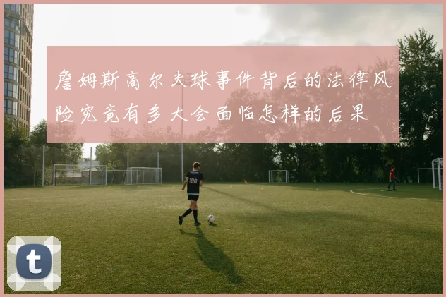 詹姆斯高尔夫球事件背后的法律风险究竟有多大会面临怎样的后果